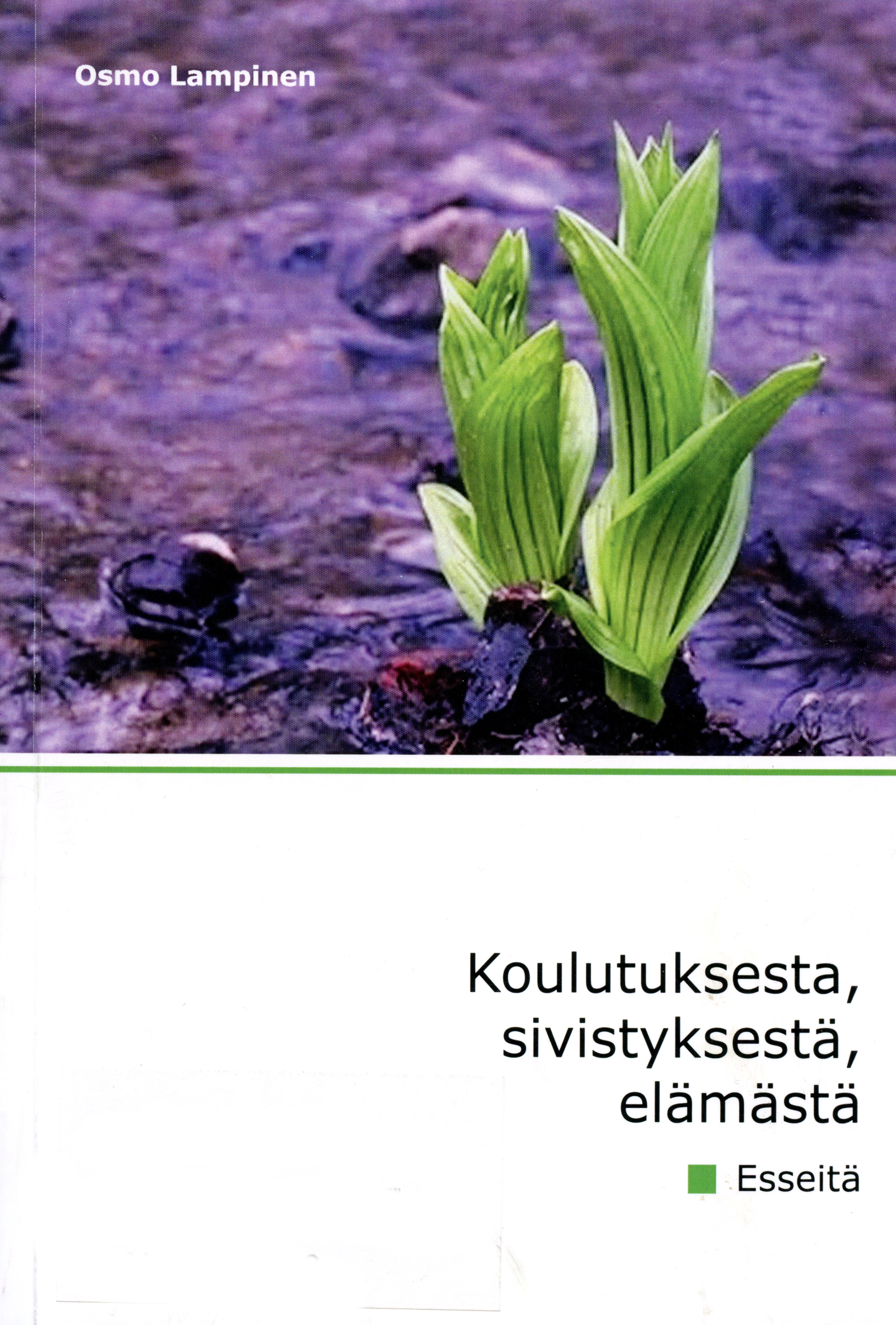 Kuvaa ei lydy